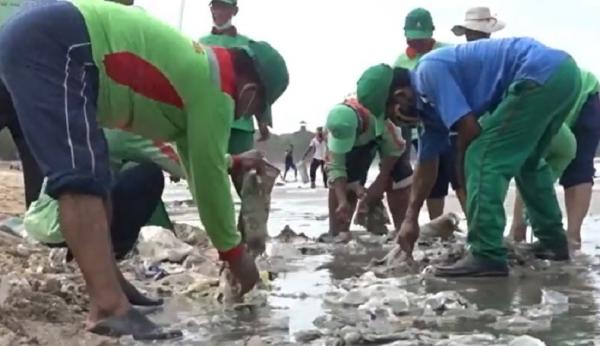 Sampah Pantai Kuta 2 Petugas mengangkut sampah kiriman dari laut yang menyerbu Pantai Kuta, Bali. (iNews.id/Aris Wiyanto)