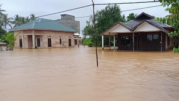 Banjir di Kabupaten Tanah Laut Banjir di Kabupaten Tanah Laut, Provinsi Kalimantan Selatan (Kalsel), mengakibatkan 21.990 jiwa terdampak dan 6.346 unit rumah terendam, hingga Jumat (15/1/2021). (Foto: iNews/BNPB)