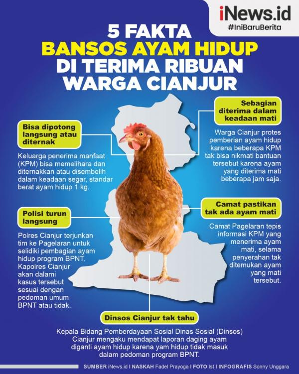 Grafis Bansos Ayam Hidup 1