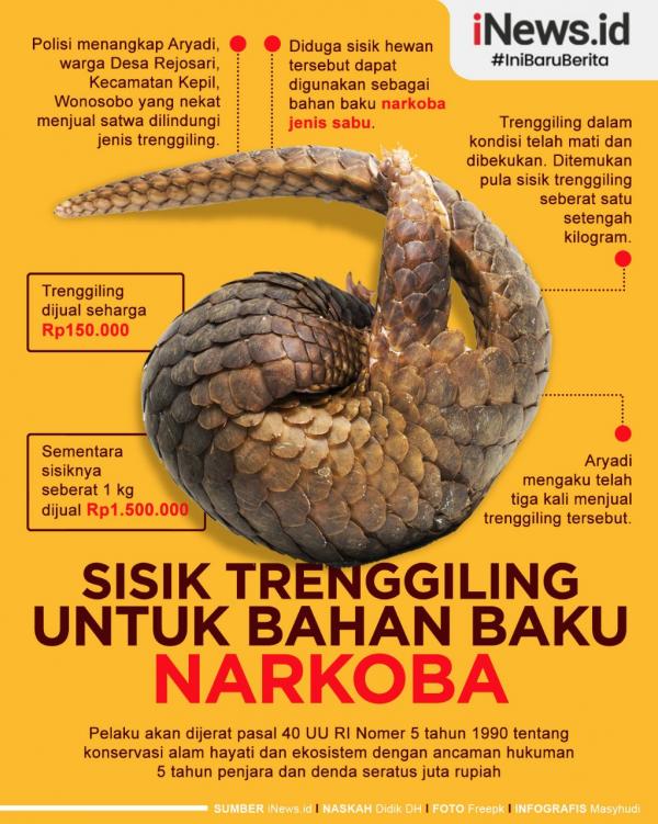 Grafis Sisik Trenggiling 1 Koramil 1309-01/STB mengingatkan protocol kesehatan kepada masyarakat dan pengendara yang melintas di Jalan Pogidon, Kelurahan Tuminting, Kecamatan Tuminting, Kota Manado. (Foto: Istimewa)