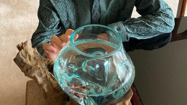 Ikan cupang peliharaan Duta Besar Jepang Ikan cupang peliharaan Duta Besar Jepang untuk Indonesia Kanasugi Kenji. (Foto: Instagram)