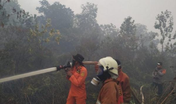Karhutla Kubu Raya Petugas Tim SAR Pontianak memadamkan kebakaran hutan dan lahan (karhutla) di Desa Limbung, Kecamatan Sungai Raya, Kabupaten Kubu Raya. (Foto: SAR Pontianak)