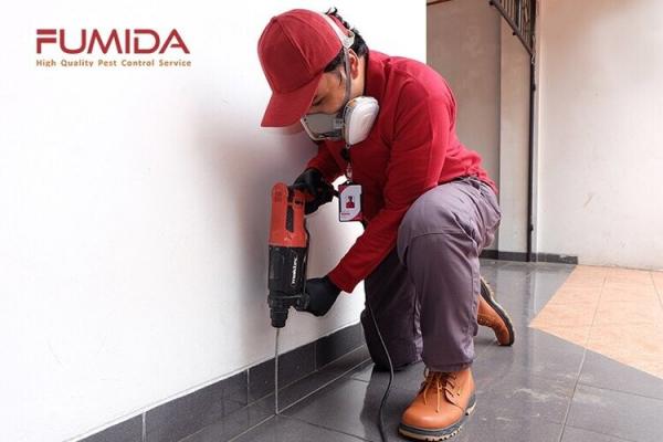 Fumida 3 Fumida 3