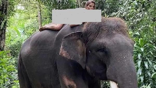 Alesya Kafelnikova berpose telanjang di atas gajah di tempat atraksi wisata Taro, Gianyar, Bali. (Foto: Instagram).
