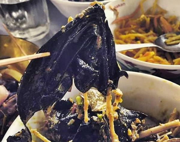 Deretan Makanan Khas Dayak, Bangamat (Foto: Instagram @irma_jacob Deretan Makanan Khas Dayak, Bangamat (Foto: Instagram @irma_jacob