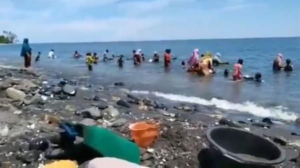 mendulang emas Warga Negeri Tamilouw, Kecamatan Amahai berbondong-bondong mendulang emas di Pantai Pohon Batu. (Foto: iNews/Nurdin Abdullah)