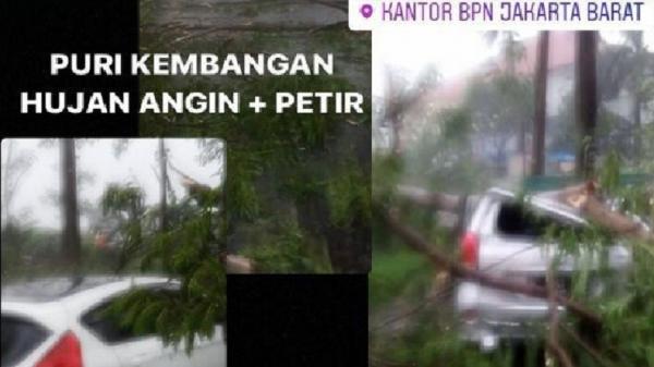 Pohon tumbang di BPN Kembangan, Jakarta Barat, Rabu (14/4/2021). (Foto: Instagram).