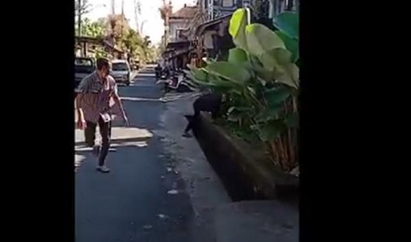 Kakek Gianyar Vaksin 2 Tangkapan layar video viral kakek di Gianyar, Bali hendak melempar batu menolak divaksin. (Foto: iNews/Ketut Catur)