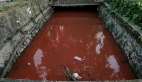 Parit merah darah 1 Warna air di parit Jalan dr Wahidin Sudirohusodo, Pontianak berubah menjadi merah darah. (Foto: iNews/Uun Yuniar)