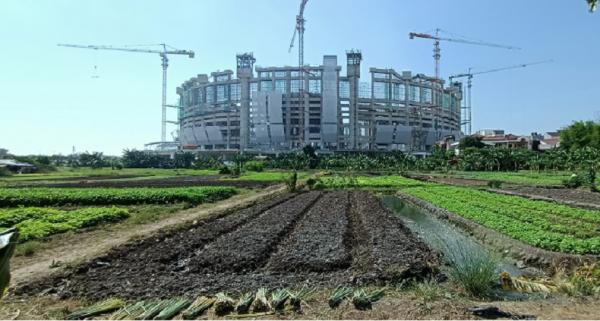 Penampakan lahan pertanian di Jakarta Penampakan lahan pertanian di Jakarta (Foto: Yohannes)