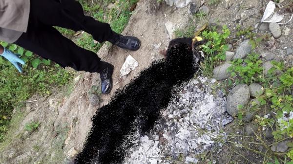 Penemuan mayat dalam kondisi terbakar Penemuan mayat dalam kondisi terbakar gegerkan warga Maros. (Foto: iNews/Arham Hamid).