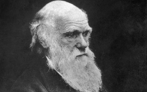 Charles Darwin Ist Ilmuwan Inggris Charles Darwin. (Foto: The Telegraph).