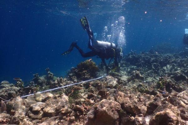 Ekosistem Terumbu Karang Raja Ampat Ekosistem Terumbu Karang Raja Ampat. (Foto: dok KKP)