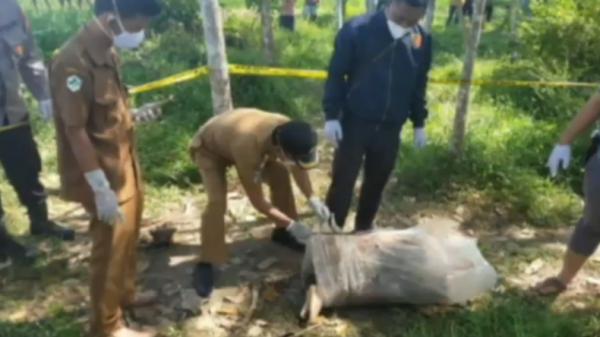 Mayat Plastik Ikan Polisi dan petugas rumah sakit mengevakuasi mayat yang terbungkus plastik wadah ikan di Tanggamus (Indra Siregar/MNC Portal)