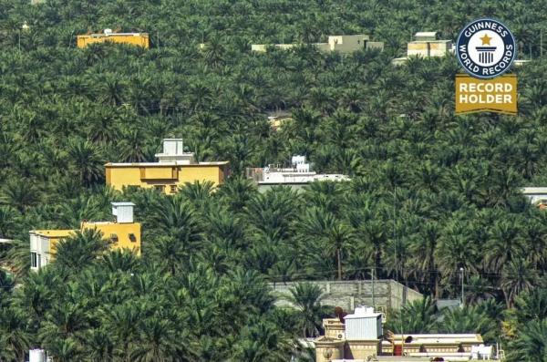 000 Oasis Al Ahsa Area Oasis al-Ahsa ditumbuhi jutaan pohon palem. (Foto: Guinness World Records)