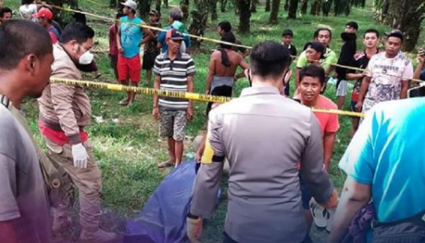 Penemuan Mayat Sintang Olah TKP penemuan tiga mayat korban pembunuhan berantai di kebun sawit. (Foto: Polres Sintang)