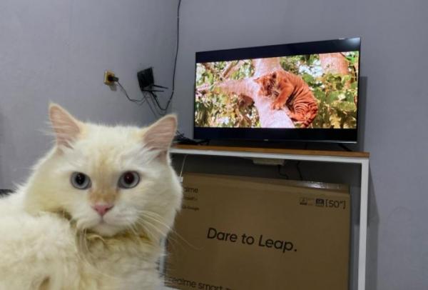 Realme Tv 5