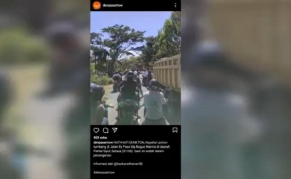 Prank pohon tumbang1 Informasi pohon tumbang di Jalan Bypass Ida Bagus Mantra di media sosial.
