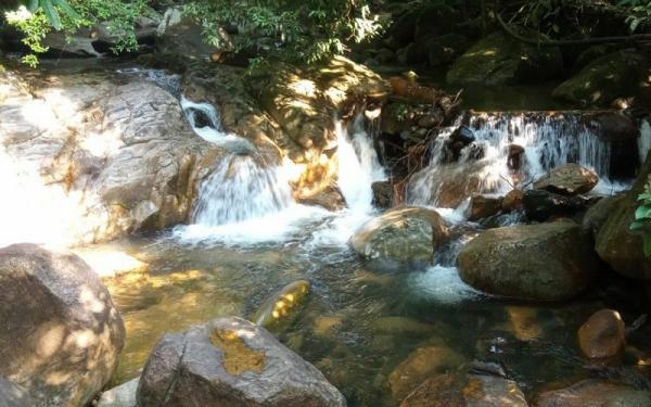 Taman Pertanian Sekayu Salah satu area di Taman Pertanian Sekayu (Foto: Taman Pertanian Sekayu )