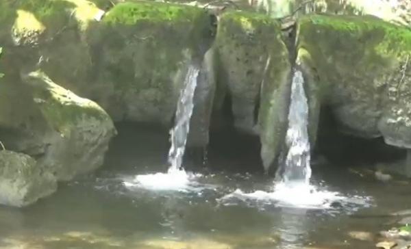 Sendang Lanang Sendan Lanang di kawasan Alas Purwo, Banyuwangi. (Foto: mNC Portal/Eris Utomo)