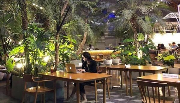 Jardin Cafe Air Terjun Riam Merasap (Foto: InstagramNuansa hijau menjadi ciri khas kafe ini sehingga pengunjung Jardin Cafe akan dimanjakan dengan suasana asri. (Foto: Instagram/@jardinbdg) @conqueryourlifestyle)