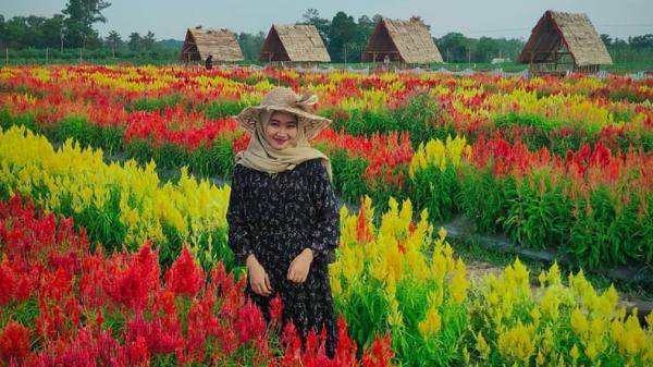 Tempat Wisata di Kota Metro Lampung Tempat Wisata di Kota Metro Lampung,Taman Bunga Asri Bougenville (Instagram/@fharellgpp14)