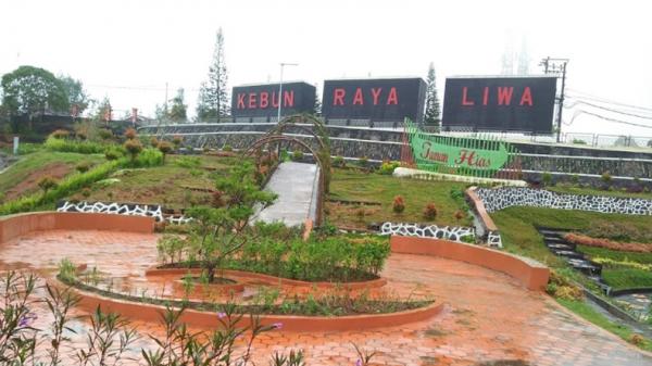 Tempat Wisata di Liwa Lampung Barat Tempat Wisata di Liwa Lampung Barat, Kebun Raya Liwa (Dokumen Ismail Prayoga)