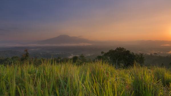 Tempat Wisata di Liwa Lampung Barat-1 Tempat Wisata di Liwa Lampung Barat, Bukit Bawang Bakung (Dokumen Tim Taam)