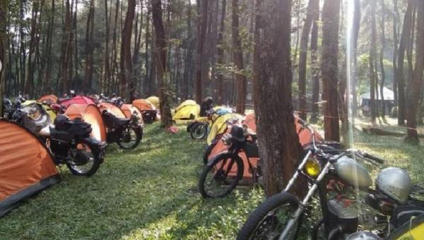 Bumi Perkemahan Ledok Ombo, Malang Bumi Perkemahan Ledok Ombo, Malang. (Foto: Instagram/desmosuperior)