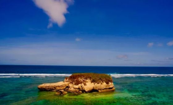 pantai kura kura Pantai kura kura. (Foto: Antara)