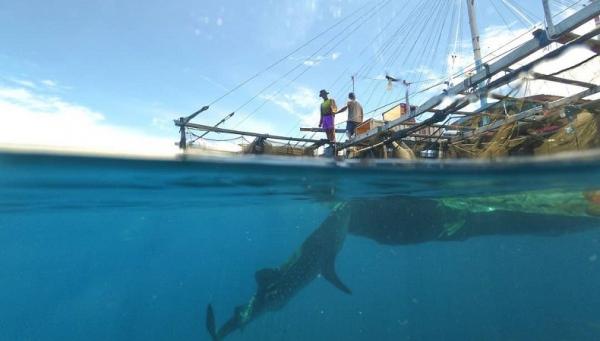 Kwatisore Nabire Papua Tempat Wisata Alam di Nabire Papua Kwatisore, Tempat Wisata Alam di Nabire Papua (Foto: Instagram/cakchris)