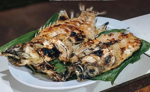 Kerapu Bakar Polos di Jumbo Seafood Kerapu Bakar Polos di Jumbo Seafood. (Foto: IG Jumbo Seafood)