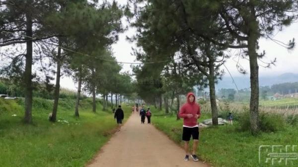 Trek joging di kawasan hutan pinus Arjasari, Bandung. (FOTO: Istimewa/Amar Faizal Haidar)