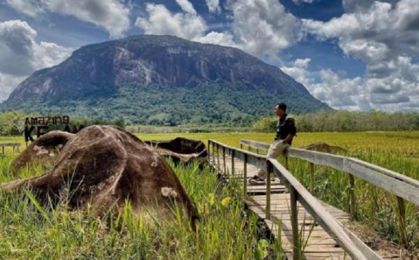 Bukit Kelam Bukit Kelam (Foto: Instagram @irfanrahman)
