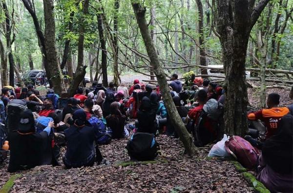 Hutan Wanagama Hutan Wanagama menjadi salah satu tempat camping di Jogja yang cocok unuk liburan bersama keluarga. (Foto: Facebook/Wanagama)