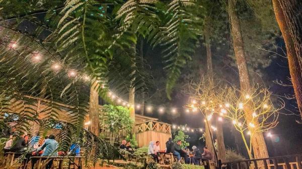 KOPI SARASA Kopi Sarasa, tempat ngopi ini menyuguhkan suasana alam pegunungan dan hutan pinus yang sejuk. (Foto: Instagram/kopisarasa)