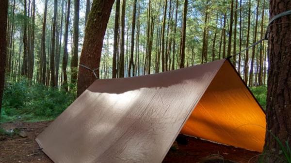 Tempat Camping di Sulsel Hutan Pinus Tempat Camping di Sulsel Hutan Pinus. (Foto: Istimewa).