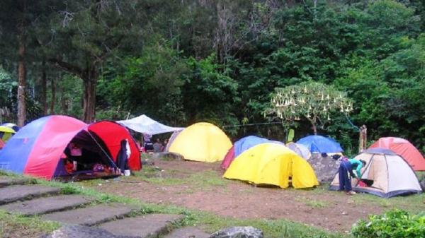 BUPER MANDALAWANGI Tempat berkemah satu ini cocok untuk keluarga. Buper Mandalawangi Camping Ground (Foto: iStimewa/mandalawangicibodascampground.com)