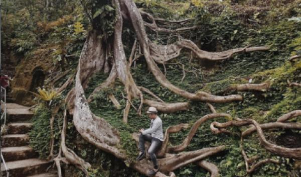 Munduk Asri Munduk Asri Gianyar, Bali. (Foto: Instagram @yanbidu)