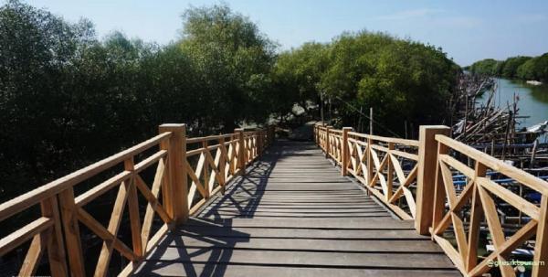 Mangrove Ujungpangkah di Gresik. (Foto: tempatwisata.org via Disparbud Gresik)