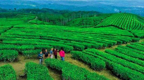 14 Wisata Di Lumajang Tempat wisata di Lumajang yang wajib dikunjungi para pencinta alam. (foto: Instagram)
