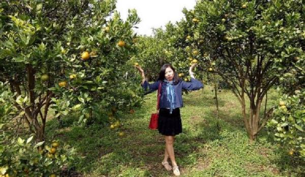 kebun jeruk karo Tempat wisata di Karo Sumatera Utara salah satunya Kebun Jeruk. (Foto: Instagram/Lie Lien)