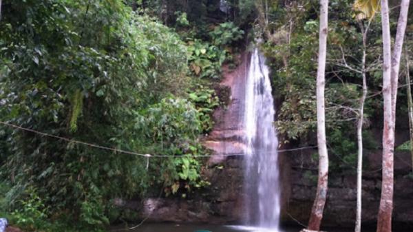 Tempat camping Sarasah Donat. Tempat camping Sarasah Donat. (Foto: Istimewa).