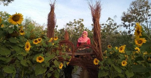 Taman Bunga Matahari Taman Bunga Matahari Nawari yang banyak ditumbuhi oleh bunga matahari ini menyimpan spot-spot foto menarik bagi pengunjung. (Foto : vita_nyunt2)