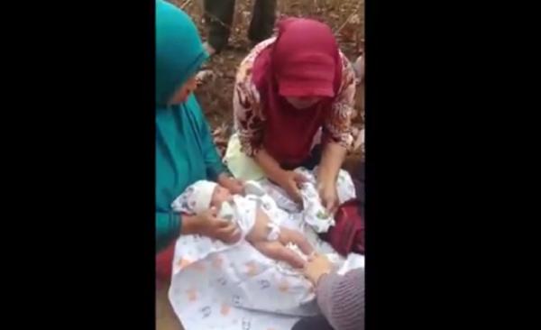 bayi bangka barat Penemuan bayi dalam kardus yang dibuang di kebun singkong Dusun Rumpis, Kecamatan Simpang Teritip, Bangka Barat. (Foto: iNews/Rizki Ramadhani)
