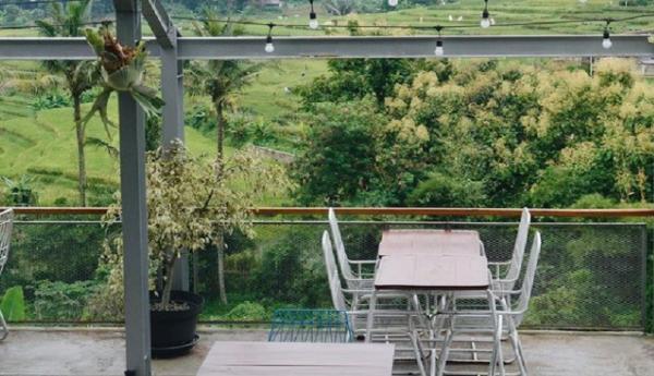 Plumeria Cafe Suasana fresh dengan pemandangan di sekitar kafe memberikan nuansa berbeda bagi Anda. (Foto: Instagram/@plumeria.cafe)