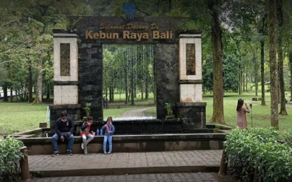 Tempat Piknik di Tabanan Bali, Kebun Raya Bedugul (Foto: Instagram/Cokorda Sarotama) Tempat Piknik di Tabanan Bali, Kebun Raya Bedugul (Foto: Instagram/Cokorda Sarotama)