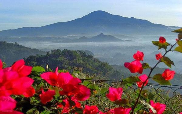 GUNUNG TAMPOMAS SUMEDANG Gunung Tampomas di Kabupaten Sumedang. (Foto: Istimewa/Kumpulan Sejarah/Correcto.id)
