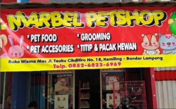 10 pet shop terdekat di Bandar Lampung salah satunya Marbel Pet Shop. (Foto: Instagram @marbelpetshop_)