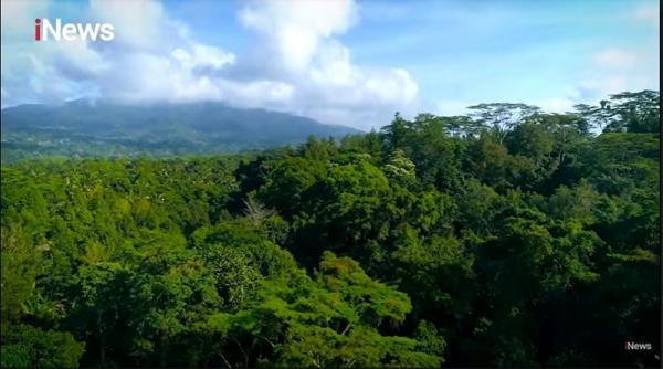 Desa Sesaot Desa Sesaot. (Foto: MNC Portal Indonesia)